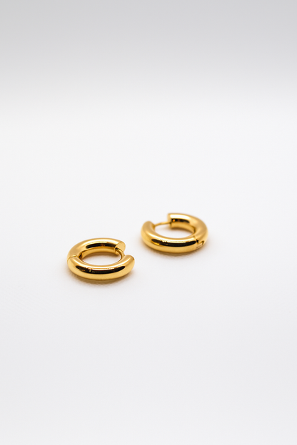 Elara Gold Earrings