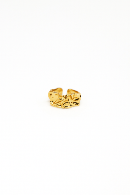 Inner Fire Ring
