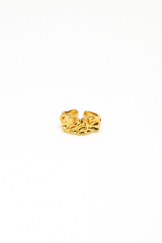 Inner Fire Ring