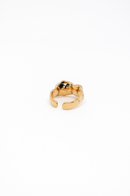 Inner Fire Ring